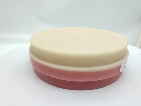 Premium 98mm Multilayer PMMA Dental Block for CAD/Cam 