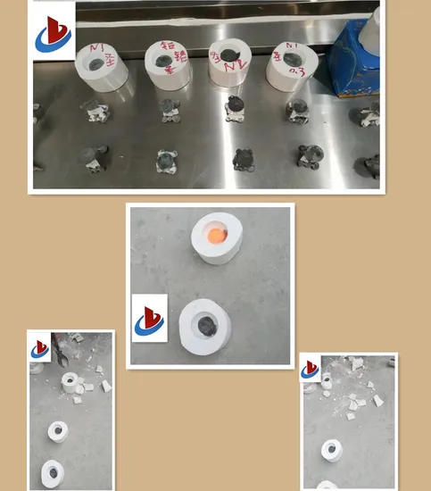 Dental Supply Casting Investments for Dental Crown 